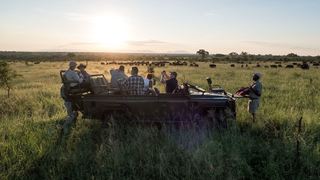 Pungwe Bush Camp | Manyeleti Reserve Accommodation
