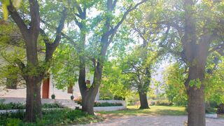 Audrey’s Vineyard Cottage & Homestead | Nuy Accommodation