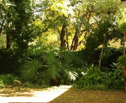 Hibiscus Lane