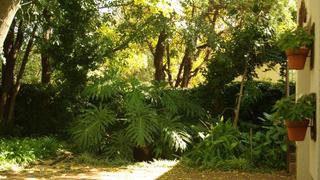 Hibiscus Lane | Accommodation Irene