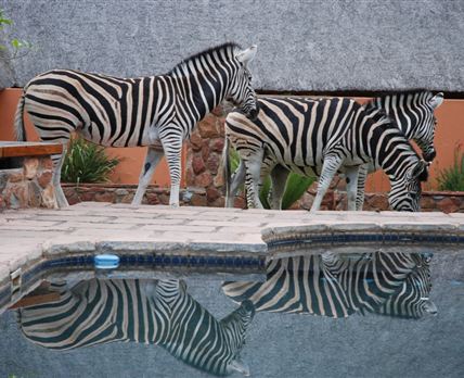 Blyde River Canyon Lodge