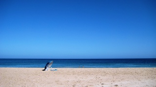 Absolute Beach | West Coast Specials