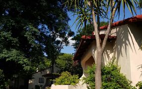 Villa Botanica | Johannesburg Specials