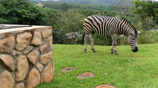 Kiepersol House | Accommodation Hazyview