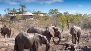 The Elephant Camp | Victoria Falls National Park Accommodation