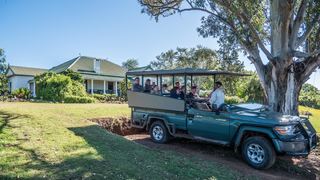 Leeuwenbosch Country House – Amakhala Game Reserve | Accommodation Amakhala Game Reserve