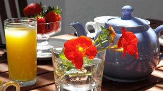 The Tarragon | Hout Bay Accommodation