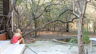 Call of Africa | Marloth Park Accommodation