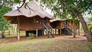 Ubizane Zululand Tree Lodge | Accommodation Hluhluwe