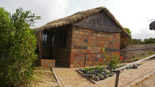 Island Rock | Lindela Accommodation
