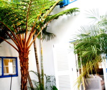 Battiss Guest House | Accommodation Menlo Park