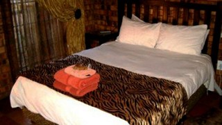 Elephant Hills Country Cottage | Witbank (Emalahleni) Accommodation