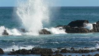 Ocean Bed | Self-catering Gonubie