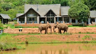 Askari Game Lodge & Spa | Accommodation Magaliesburg