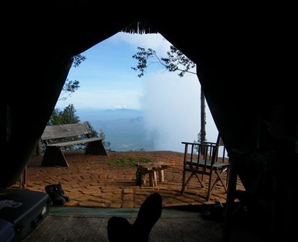 MamboViewPoint