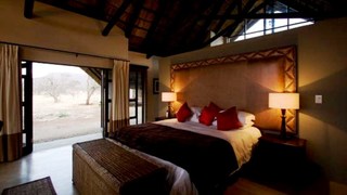 Buffalo Thorn Lodge | Pilanesberg Game Reserve Specials