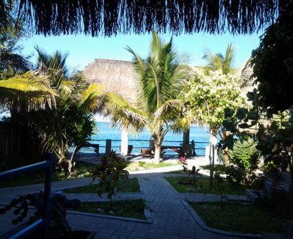 Dolphin Dhow Accommodation