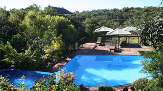Thaba Pitsi Safari Lodge | Bela Bela (Warmbaths) Accommodation