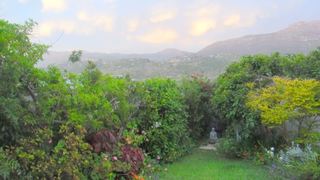 Hillcrest | Africa Specials