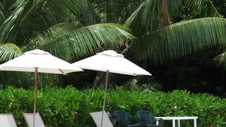 Emerald Cottage | Self-catering Anse La Reunion