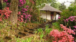 Never Daunted | Hogsback Accommodation