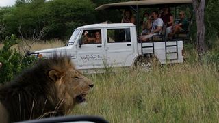 The Bush Camp at Welgedacht | Dinokeng Accommodation