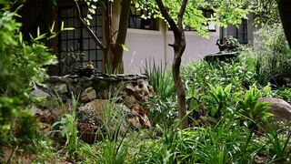 Kulanga Cottages Bed & Breakfast | Accommodation Linden