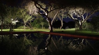 The Gemini Experience | Accommodation Timbavati Reserve