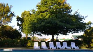 Pine Lodge George | Accommodation Glenwood (George)
