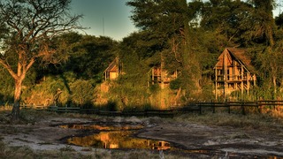 Savute Safari Lodge | Savuti Accommodation