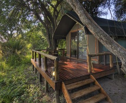 Camp Okavango