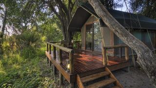 Camp Okavango | Okavango Delta Accommodation
