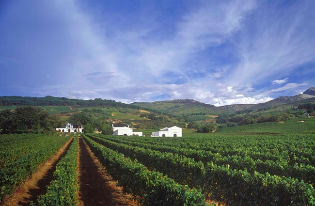 Beautiful Fire Rips Through Iconic Laborie Wine Estate In Paarl Wallpaper Digital Art Beautiful Fire Rips Through Iconic Laborie Wine Estate In Paarl Wallpaper Digital Art