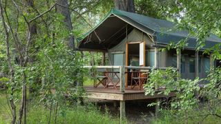 Camp Moremi | Moremi Wildlife Reserve Accommodation