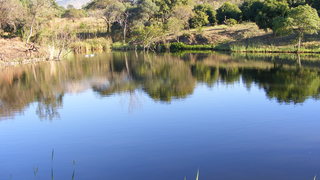 Amanzi Maningi | Barberton Accommodation
