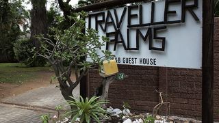 A Travellers Palm | Limpopo Province Specials