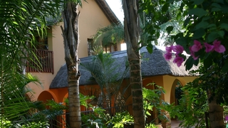 A Bohemian Rhapsody | Accommodation Pretoria North (Suburb)