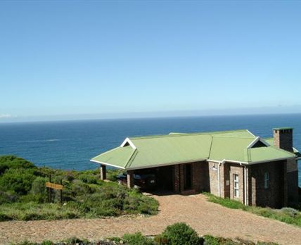 Blue Whale Resort
