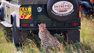 Mara Intrepids | Accommodation Maasai Mara National Reserve