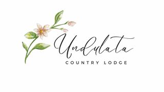 Undulata Country Lodge | Accommodation Springbok