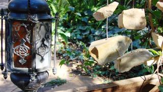 Jedidja Bed & Breakfast | Accommodation Waverley