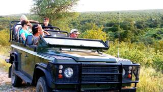 nDzuti Safari Camp | Klaserie Private Nature Reserve Accommodation