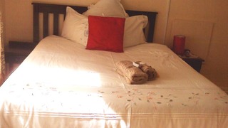 Twin Lodge | Mthatha Accommodation