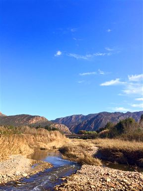 Montagu