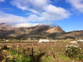 Montagu