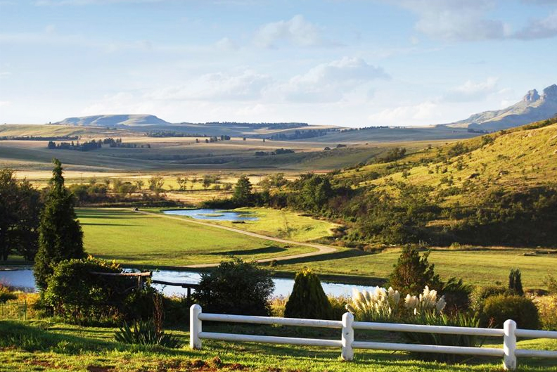 Things to do in Ladysmith (KwaZulu-Natal)