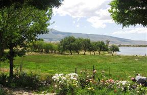 Prince Alfred Hamlet