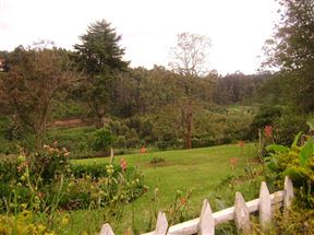 Limuru