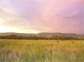 Mookgopong (Naboomspruit)