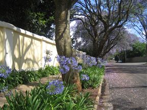 Greenside